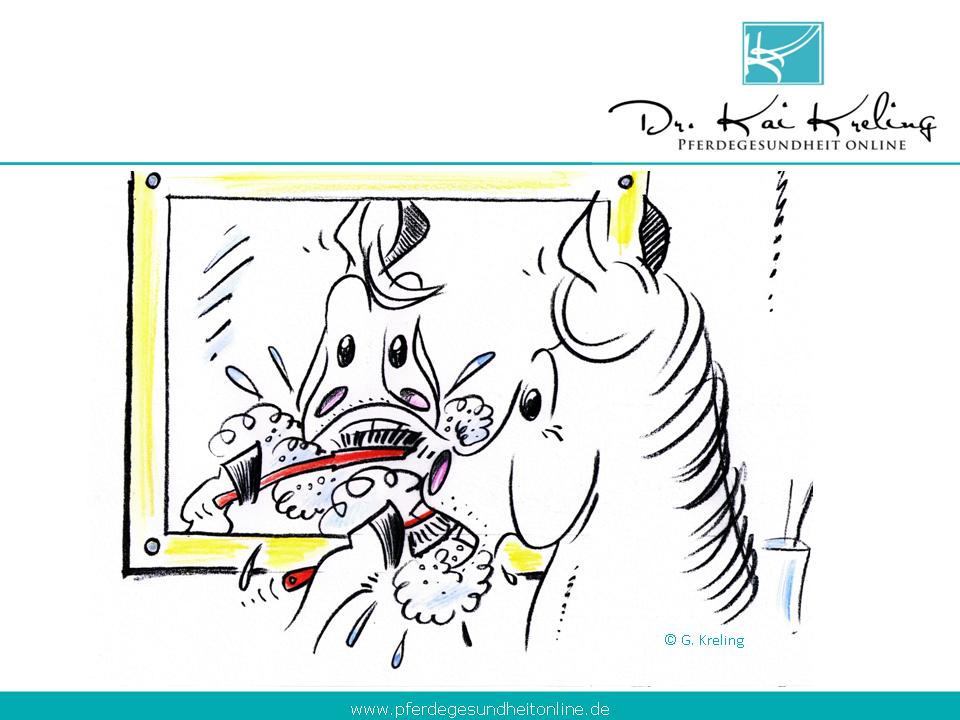 Zahngesundheit – Seminarunterlagen